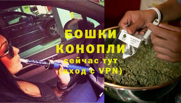 spice Верея
