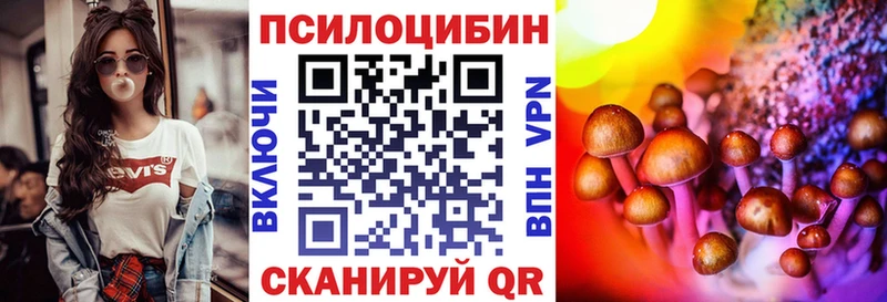 дарк нет какой сайт  Чебоксары  Псилоцибиновые грибы GOLDEN TEACHER 